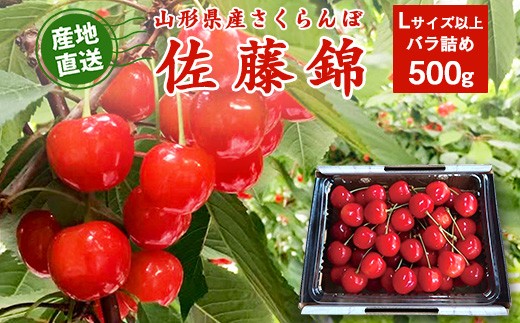 
                  《先行予約》令和9年産 山形県産 さくらんぼ 佐藤錦 500g Lサイズ以上 秀品 【2027年5月下旬頃から6月中旬頃発送予定】※ 配送不可 沖縄・離島　016-A-JF031
                