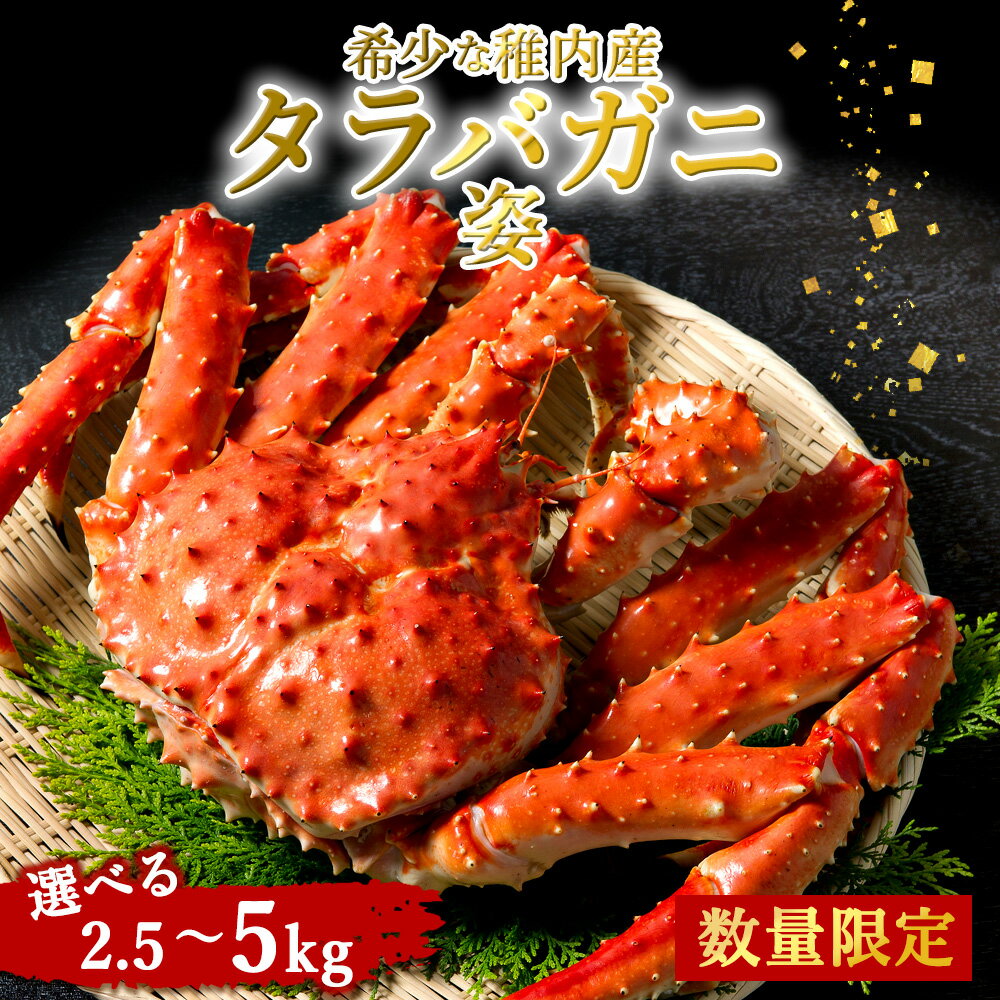【ふるさと納税】稚内産 特大ボイルたらばがに姿 選べる約2.5kg～5kgたらばがに タラバガニ たらば蟹 たらばガニ タラバかに たらばカニ 蟹 カニ ボイルタラバ 北海道ふるさと納税 稚内 ふるさと納税 北海道 【配送不可地域：離島】