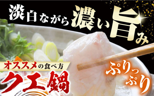 【全6回定期便】対馬 産 クエ 鍋 セット 600g (2〜3人前)《対馬市》【対馬地域商社】九州 長崎 海鮮 [WAC034]冷凍 新鮮 くえ 鍋セット 海の幸 クエ 下処理 冷凍 新鮮 小分け 海