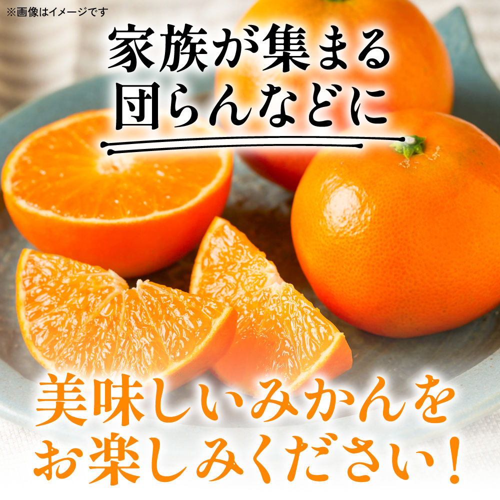 【先行予約】 八代市東陽産山本さん家の「みはや」5kg みかん 柑橘 フルーツ 果物 果実 ミカン 蜜柑 熊本県 八代市 【2026年12月上旬より順次発送】_イメージ4