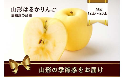 
            山形県産 はるかりんご 5kg 12玉～20玉 高糖度のりんご FSY-2188
          