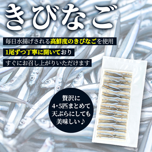 ＜冷凍＞鹿児島県阿久根産 天然きびなごのお刺身(計160尾・20尾×8パック) 国産 魚介 魚貝 海産物 鮮魚 刺身 天ぷら 冷凍配送 キビナゴ 海鮮丼 食品 セット 詰め合わせ 水産加工品【濱崎魚類