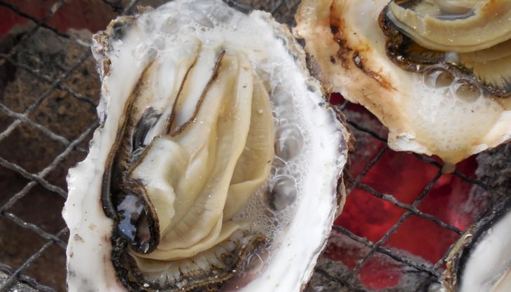 【能登半島地震復興支援】魚介類 牡蠣　/ 能登かき 殻付 牡蠣 約3.5kg（約30個）専用ナイフ・片手用軍手付 石川県 七尾市 能登 ※加熱用 ※2025年1月下旬～5月下旬頃に順次発送予定 ※離島
