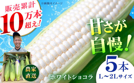 【先行予約】【数量限定】白いとうもろこし ホワイトショコラ 5本 とうもろこし [BDAX001]