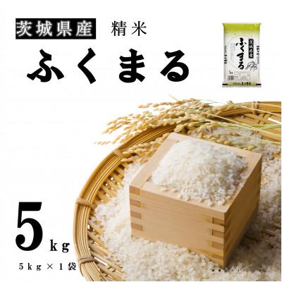 ふるさと納税 土浦市 【令和7年産】新米 茨城県産 ふくまる 精米 5kg(5kg×1袋) 大粒で美味しい お米