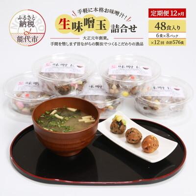 ふるさと納税 能代市 定期便 12回 生味噌玉 詰合せ  48食入り 冷凍 今井糀屋[No.5335-1406]