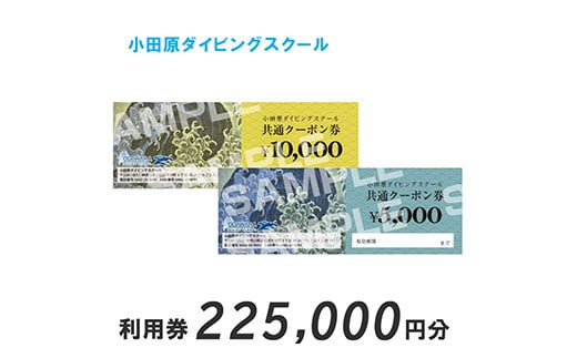 小田原ダイビングスクール 共通クーポン券 225,000円分 142069_BS005
