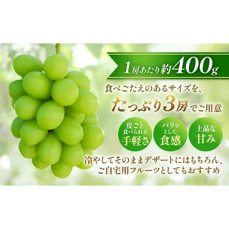 【★先行予約】【訳あり】長野県産シャインマスカット 約400g×3房 見た目にワケあり 味はそのまま 果物 旬のフルーツ 長野県 上田 信州