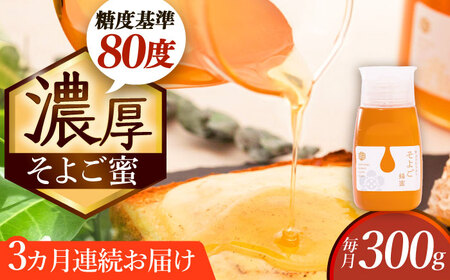 【3回定期便】 自慢のそよご蜜 300g 瑞浪市 / 堀養蜂園 はちみつ 蜂蜜 国産[AZCF010]