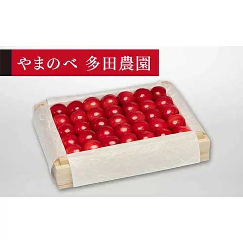 【ふるさと納税】≪2025年 先行予約≫さくらんぼ 特選紅秀峰 桐箱詰 約300g「やまのべ多田農園」 F2Y-1377