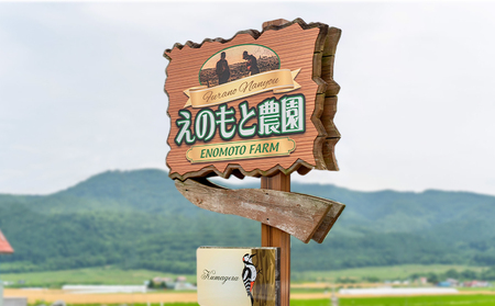 【2025年夏発送】北海道 富良野産 青肉メロン 2玉 1.4kg～1.8kgサイズ ふらの メロン ギフト 果物 青玉(榎本農園) メロン キングメルティ フルーツ 果物 新鮮 甘い 贈り物 ギフト