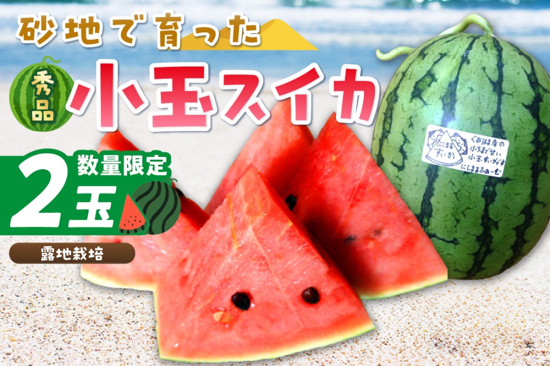 【先行予約／数量限定100】にしまるスイカ 秀品 2玉入り（露地栽培）（2025年7月中旬から発送）　FR00013
