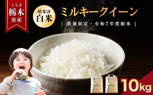 ミルキークイーン  10kg | お米 米 もち米 ミルキークイーン きぬはなもち とちぎの星 コシヒカリ こしひかり 美味しい お弁当 選べる 定期便 ふるさと 納税 栃木県 矢板市