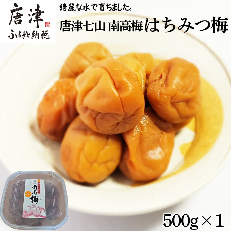 【ふるさと納税】唐津市七山南高梅 はちみつ梅 (500g×1) 梅干し うめぼし うめ しそ ご飯のお供 ＃irodoriからつ四季の返礼品
