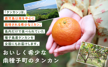 《 先行予約 》【2024年2月中旬～3月中旬頃順次発送】種子島産タンカン(ご家庭用)約2.5kg（12～18玉）【南種子町果樹部会】