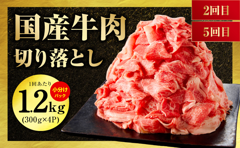 国産 牛肉 豚肉 鶏肉 定期便 6回 総量 8.4kg 【氷温熟成×極味付け 3種 食べ比べ 普段使い 味付き 小分け 訳あり サイズ不揃い 毎月配送コース】 mrzZ018