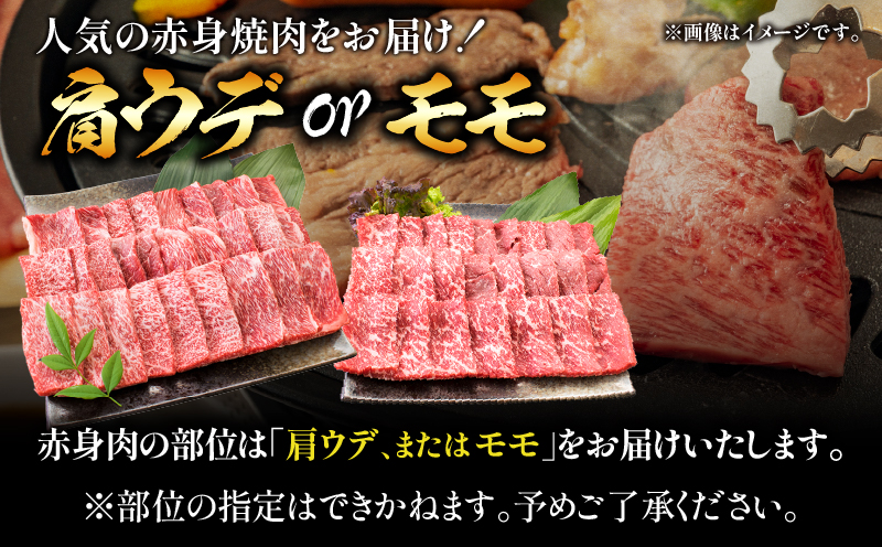 【7月末までにお届け】【畜産農家応援】リピーター続出!!数量限定 厳選 宮崎牛 赤身 焼肉 計1kg 粗挽きウインナー 牛肉 国産 BBQ すき焼き 人気 黒毛和牛 肩ウデ モモ しゃぶしゃぶ A4 