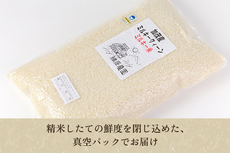 【令和5年産米】【精米】加茂産ミルキークイーン「ミルキー米」真空パック 5kg ミルキークイーン 新潟県産ミルキークイーン 米 お米