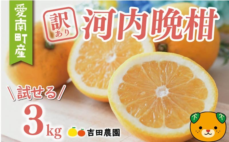 
                  【順次発送】 訳あり 河内晩柑 3kg 5000円 お試し用 みかん わけあり かわちばんかん 愛南ゴールド あいなん ゴールド 夏 文旦 グレープフルーツ 和製 家庭用 少量 お試し 産地直送 国産 農家直送 期間限定 数量限定 ビタミン 健康 おいしい 特産品 ゼリー ジュース 人気 限定 さわやか 甘い フルーツ 果物 柑橘 mikan 蜜柑 ミカン 規格外 吉田農園 愛南町 愛媛県
                