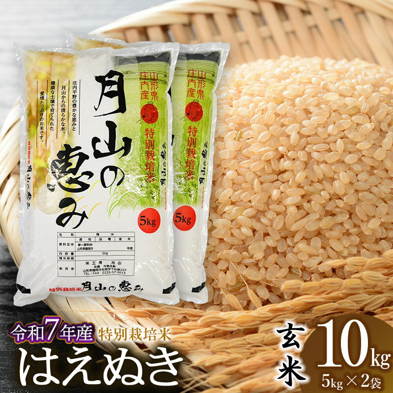 【ふるさと納税】令和7年産【新米】特別栽培米 はえぬき 玄米 10kg（5kg×2袋 計10kg） 2025年 | 山形県 鶴岡市 ブランド米 お取り寄せ お米 おこめ 特栽 コメ10キロ こめ 美味しい 鶴岡産 単一原料米
