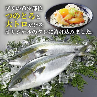ふるさと納税 愛南町 希少部位のみ ブリの漬け丼 100g×10p 有限会社ハマスイ |  | 01