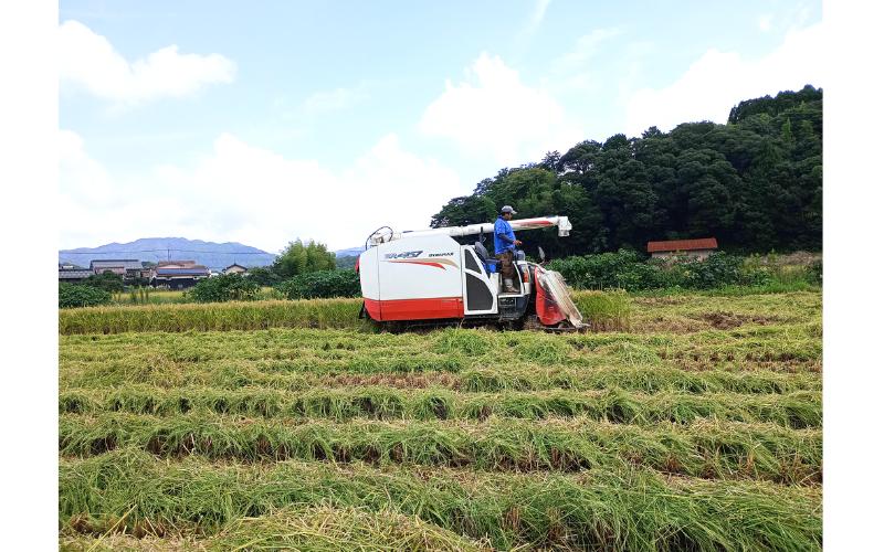 岩美町産もち米（ハクトモチ）1kg 令和7年産｜鳥取 岩美町 もち米 ハクトモチ 精米 発送は2025年11月～【31028】