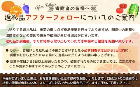 L・2Lサイズのみ 西地農園のセミノール 5kg【3月初旬から4月下旬までに順次発送】 / セミノール L 2L みかん 蜜柑 柑橘 5kg【mnd005A】