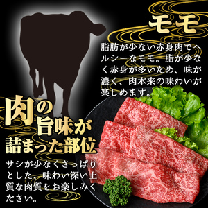 鹿児島県産A5等級黒毛和牛赤身モモスライス (計750g) 黒毛和牛 冷凍 モモスライス【KNOT】 A647