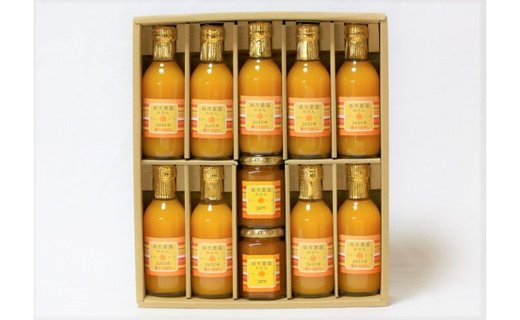 100％ みかんジュース 200ml みかんジャム　合計11本 セット ストレート 無添加 嶋市農園｜ 和歌山有田 丸絞り 和歌山 有田 国産 果汁 CL003