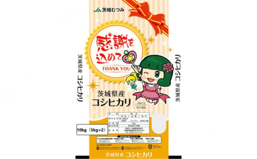 令和6年茨城県産コシヒカリ10kg（5kg×2） ／ お米 精米 こしひかり 旨味 安心 美味しい JA茨城むつみ 茨城県 五霞町