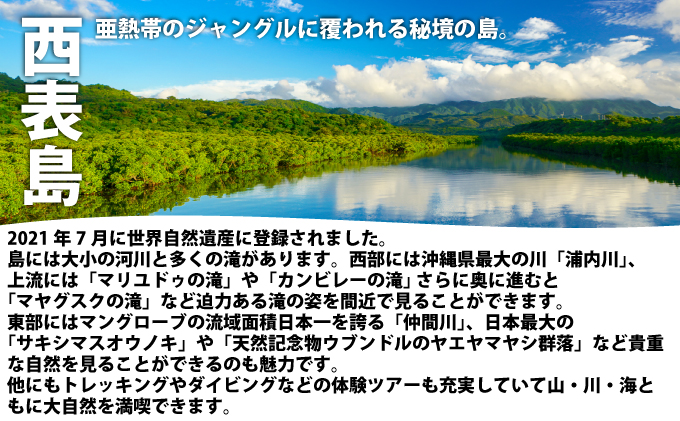 西表島 星空ナイトツアー(半日) 大人1名分