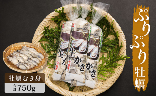 【先行予約】牡蠣 宮城県産 ぷりぷり 生牡蠣 むき身 750g 生