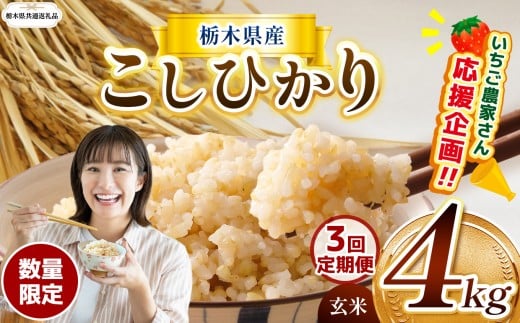 訳あり【令和7年度新米】【栃木県共通返礼品】【数量限定】【3回定期便】令和7年度新米 栃木県産コシヒカリ 4kg |定期便 数量限定 こしひかり  玄米 米 ごはん おいしい  玄米真空パック ふるさと納税 那珂川町 栃木県