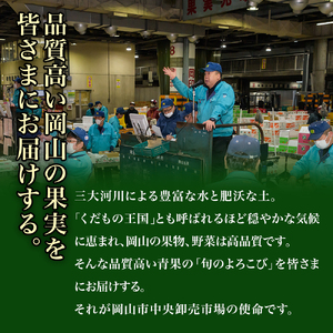 Cz-7　【令和8年発送・先行予約】岡山県産　詰合/ニューピオーネ（480g以上）1房・シャインマスカット晴王（480g以上）1房　化粧箱入り