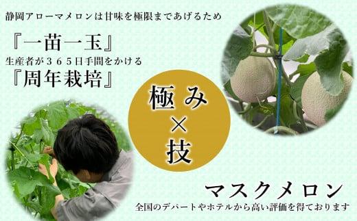 013-68 アローマメロン 富士級1.4k 1玉 化粧箱 入り 甘い 高級品 ブランド 機能性表示食品