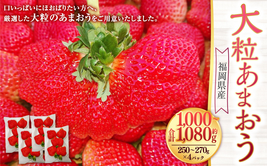 
                  大粒あまおう 4パック あまおう いちご イチゴ 苺 果物 くだもの フルーツ【2027年2月上旬～4月下旬発送予定】
                