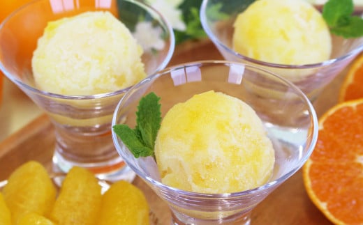 瀬戸内しまなみ柑橘物語 ソルベ9個入 氷菓 3種×3個 紅まどんな 八朔 甘夏 愛媛県 （583）