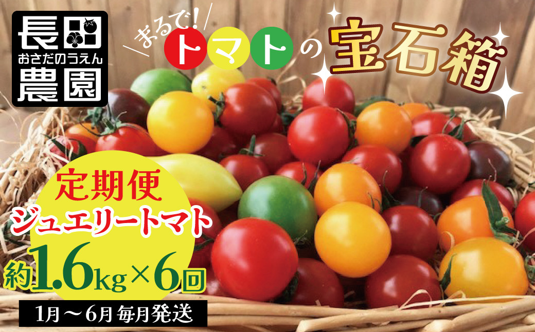 
1月～6月毎月発送　まるでトマトの宝石箱！ジュエリートマトの定期便　6回コース 長田農園 産地直送 カラフル トマト とまと 野菜 やさい フルーツ サラダ 濃厚 甘い ご褒美 プレゼント 美容 健康 リピート多数 人気 高評価 先行受付 数量限定 碧南市 H004-164
