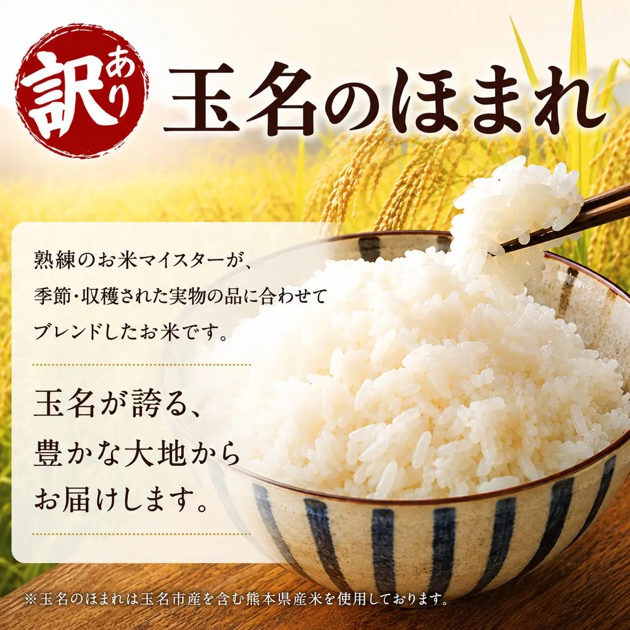 【 定期便 12回 】R8年産 玉名のほまれ 5kg