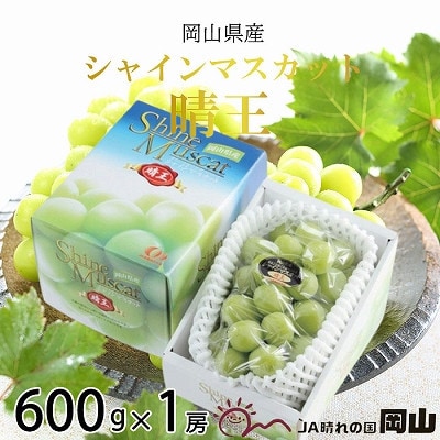 【2025年8月発送】岡山県産　シャインマスカット　晴王　600g×1房【配送不可地域：離島・北海道・沖縄県】【1366084】