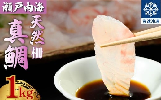 瀬戸内「天然」真鯛 お刺身用 1kg 柵でお届け（急速冷凍）便利な小分け 100gパック 【鯛 マダイ タイ 鯛めし 鯛茶漬け フィレ フィーレ ブロック 海鮮 魚介 即日加工 鮮度抜群 個包装 おせち 正月 正月料理】