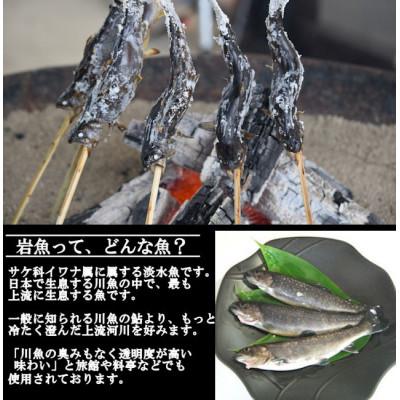 ふるさと納税 最上町 冷凍岩魚(腹抜き)　20尾 |  | 01