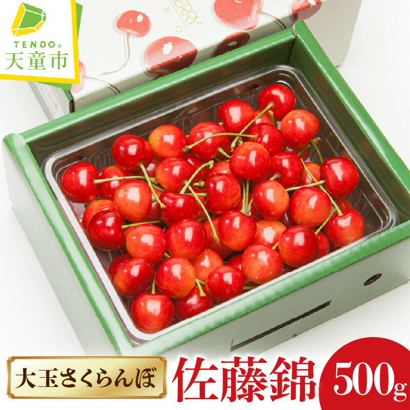 【ふるさと納税】 大玉 さくらんぼ ( 佐藤錦 ) 500g 秀 L以上 バラ 山形 先行予約 令和8年産 2026年産 チェリー サクランボ フルーツ 果物 くだもの 旬 数量限定 冷蔵 のし 贈答 ギフト プレゼント お取り寄せ 産地直送 送料無料 【 山形県 天童市 】