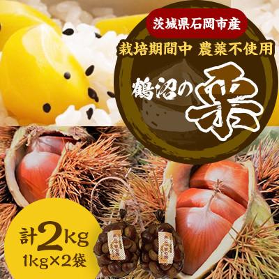 ふるさと納税 石岡市 【先行予約2025年9月中旬より順次発送】茨城県石岡市産　鶴沼の生栗2kg