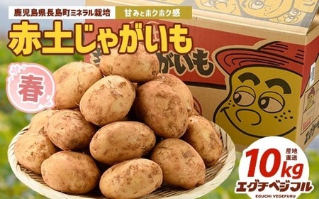 長島のミネラル栽培じゃがいも(計10kg)【エグチベジフル(株)】eguchi-7019