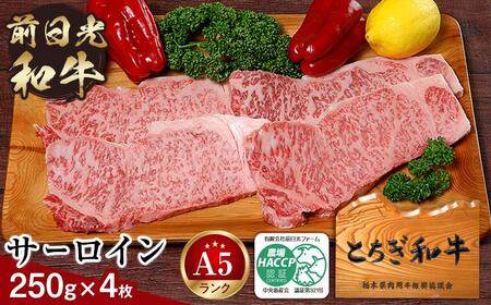 とちぎ和牛・前日光和牛（サーロイン250ｇ4枚）｜肉 お肉 和牛 最高級 A5ランク A5等級 ステーキ