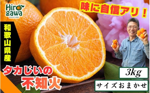 
                  タカじいの 不知火 ( しらぬい ） 3kg / デコポン 甘い 和歌山 有田 柑橘 ※2027年3月上旬〜3月下旬に順次発送 【krs010-r-3A】
                