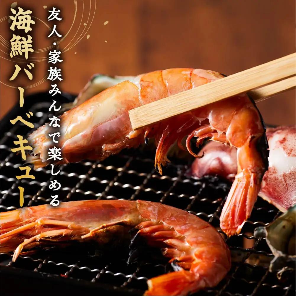 ＜数量限定＞海鮮BBQセット4種(5～6人前)【鳥取県 境港市】