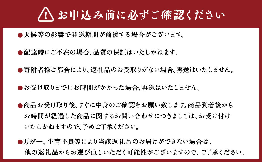 【6か月隔月定期便】旬の熊本フルーツ詰め合わせ定期便 