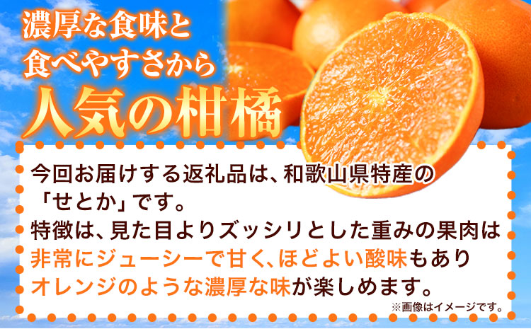 とろける食感!ジューシー柑橘せとか約3kg魚鶴商店《2026年2月下旬-3月下旬頃出荷》せとか柑橘---wsh_uot113_2g3g_25_20000_3kg---